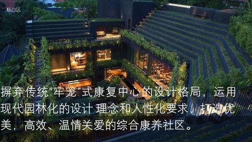 国产综合社区,打造多元化互动平台，引领网络文化新潮流