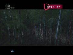 国产精品大陆在视频