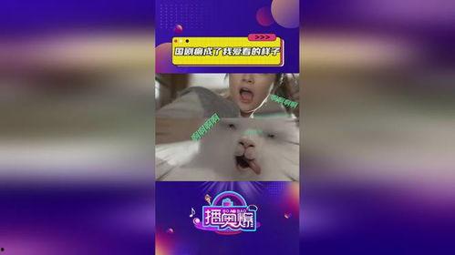 国产吧在线视频观看,畅享海量精彩国产影视盛宴